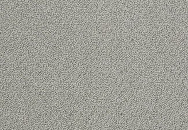 Anderson Tuftex Carpet On Point Driftwood — Anderson Tuftex