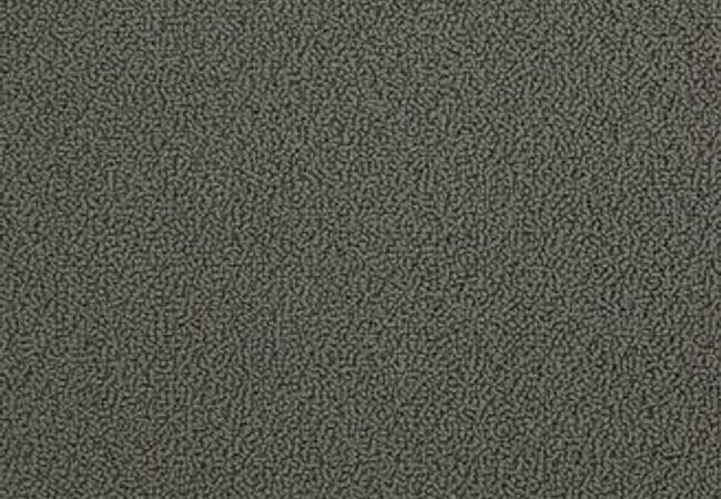 Anderson Tuftex Carpet On Point Earth — Anderson Tuftex