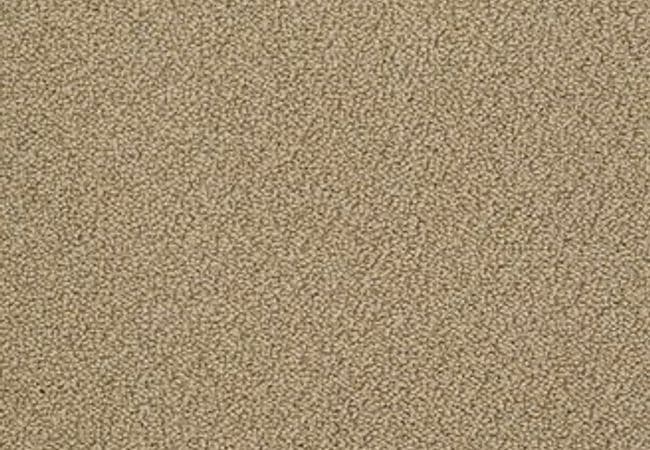 Anderson Tuftex Carpet On Point Gilt — Anderson Tuftex