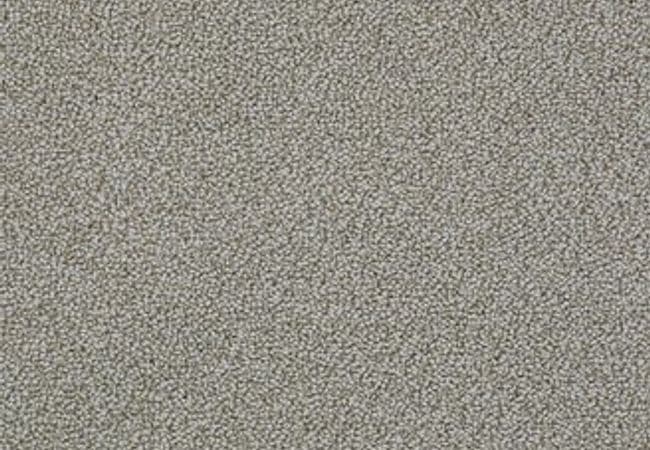 Anderson Tuftex Carpet On Point Graystone — Anderson Tuftex