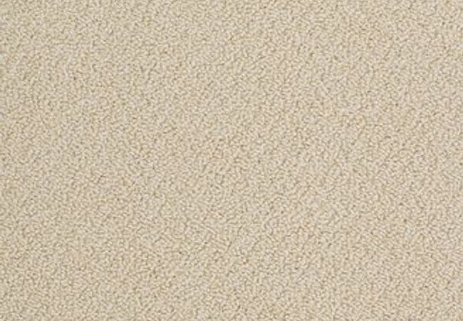 Anderson Tuftex Carpet On Point Mimosa — Anderson Tuftex
