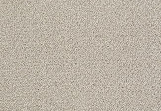 Anderson Tuftex Carpet On Point Raffia — Anderson Tuftex