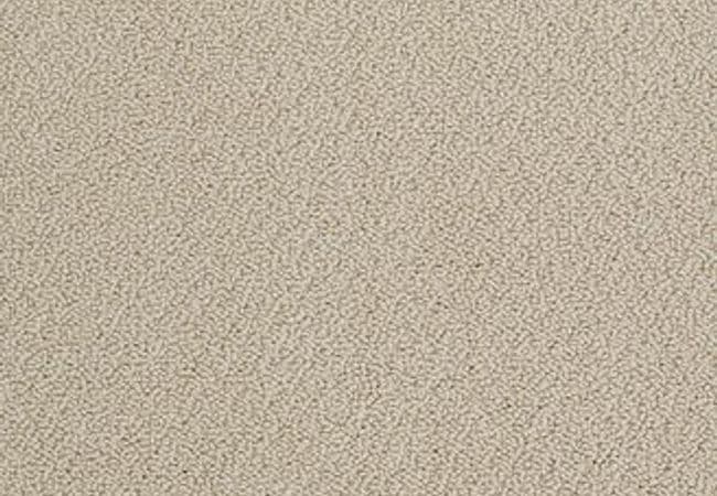 Anderson Tuftex Carpet On Point Sandpiper — Anderson Tuftex
