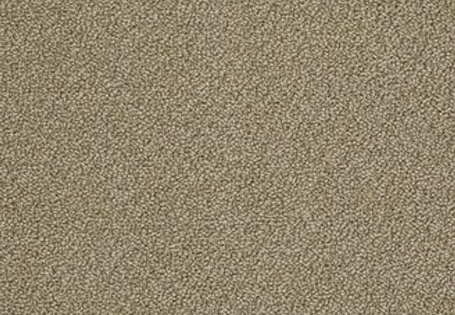 Anderson Tuftex Carpet On Point Suede — Anderson Tuftex
