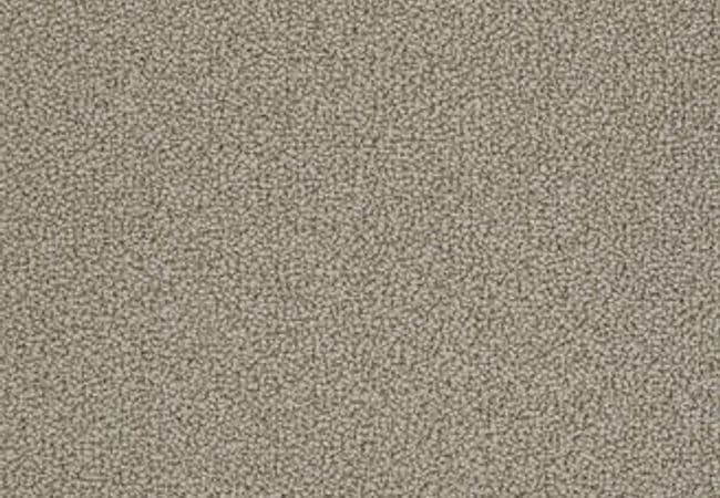 Anderson Tuftex Carpet On Point Taupestone — Anderson Tuftex