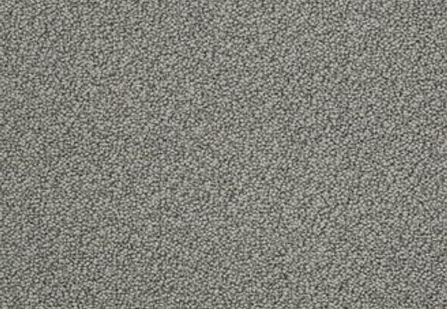Anderson Tuftex Carpet On Point Tundra — Anderson Tuftex