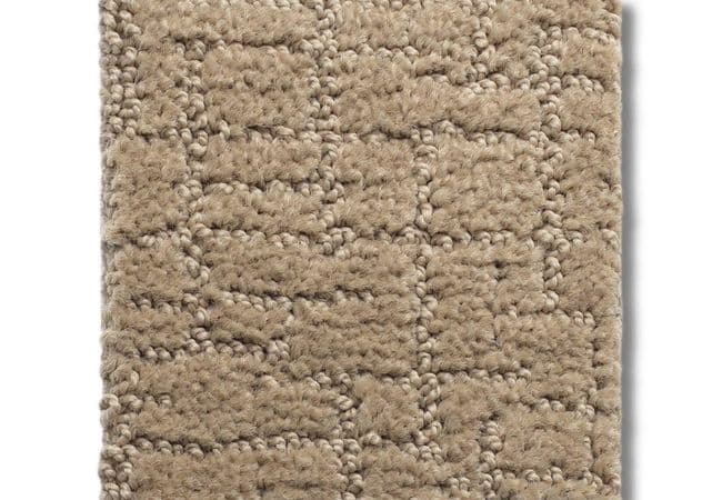 Anderson Tuftex Carpet One More Hour Desert Sand, Anderson Tuftex