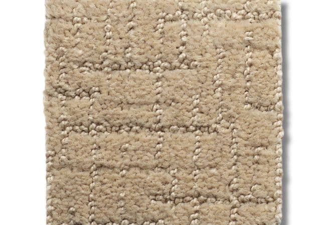 Anderson Tuftex Carpet One More Hour Pale, Anderson Tuftex