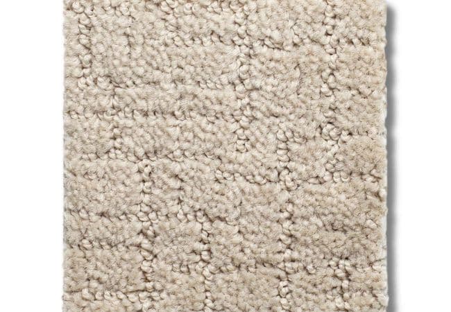 Anderson Tuftex Carpet One More Hour Silk, Anderson Tuftex