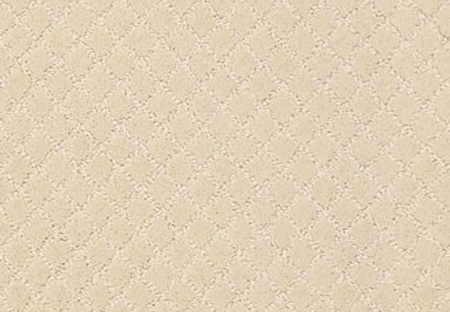 Anderson Tuftex Carpet Pawnache Antiquity — Anderson Tuftex