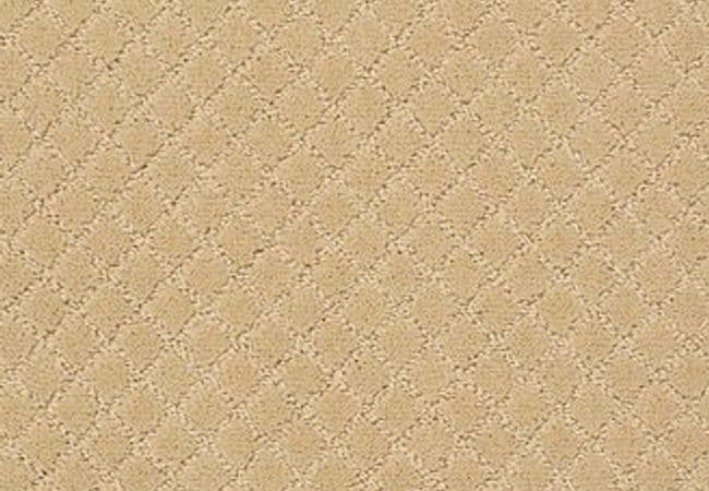 Anderson Tuftex Carpet Pawnache Cork — Anderson Tuftex