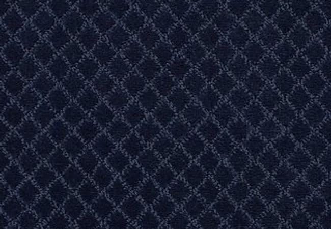 Anderson Tuftex Carpet Pawnache Downpour — Anderson Tuftex