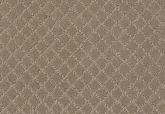 Anderson Tuftex Carpet Pawnache Driftwood — Anderson Tuftex