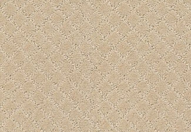 Anderson Tuftex Carpet Pawnache Hazelnut — Anderson Tuftex