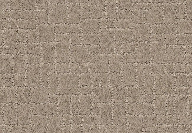 Anderson Tuftex Carpet Pawnache Mocha Cream — Anderson Tuftex