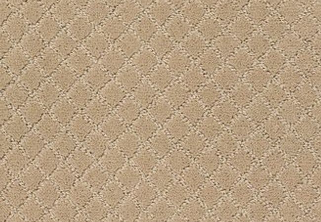 Anderson Tuftex Carpet Pawnache Monterey — Anderson Tuftex