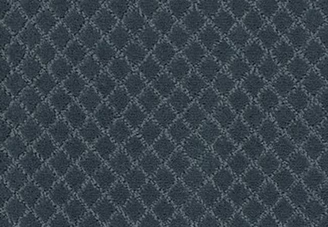 Anderson Tuftex Carpet Pawnache Nimbus — Anderson Tuftex