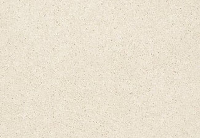 Anderson Tuftex Carpet Pawparazzi I Antiquity — Anderson Tuftex