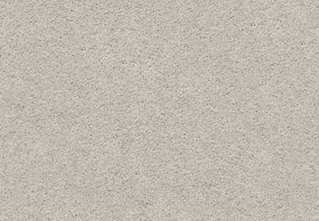 Anderson Tuftex Carpet Pawparazzi I Calm — Anderson Tuftex