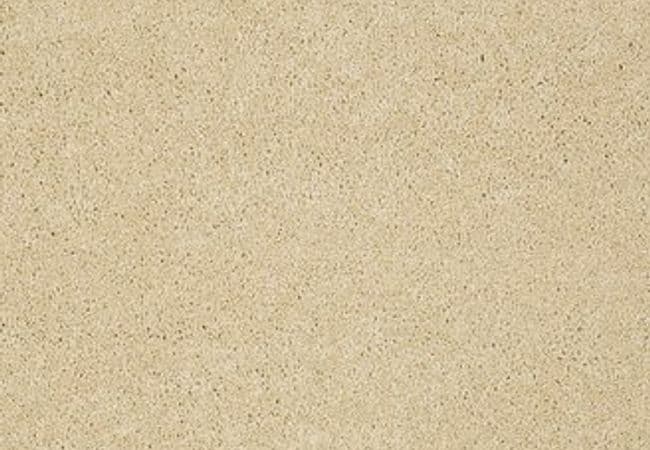 Anderson Tuftex Carpet Pawparazzi I Cork — Anderson Tuftex
