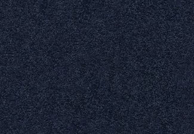Anderson Tuftex Carpet Pawparazzi I Downpour — Anderson Tuftex
