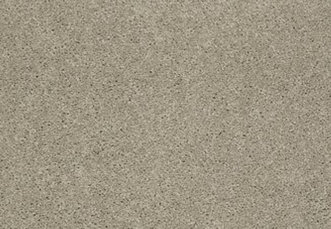 Anderson Tuftex Carpet Pawparazzi I Driftwood — Anderson Tuftex