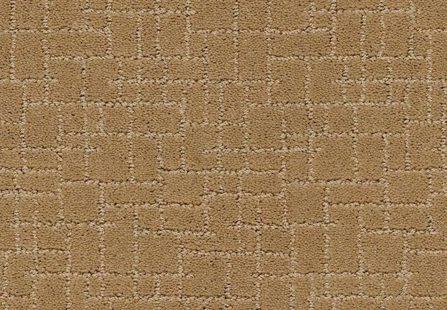 Anderson Tuftex Carpet Pawparazzi I Golden Straw, Anderson Tuftex