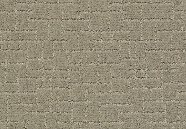 Anderson Tuftex Carpet Pawparazzi I Gray Mirage — Anderson Tuftex