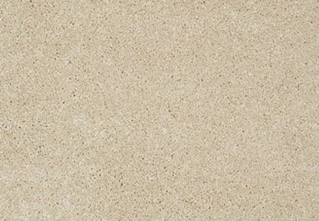 Anderson Tuftex Carpet Pawparazzi I Hazelnut — Anderson Tuftex