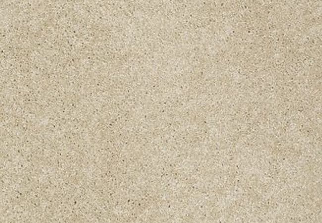 Anderson Tuftex Carpet Pawparazzi I Monterey — Anderson Tuftex