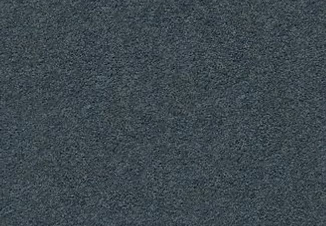 Anderson Tuftex Carpet Pawparazzi I Nimbus, Anderson Tuftex