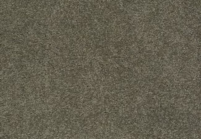 Anderson Tuftex Carpet Pawparazzi I Overcoat — Anderson Tuftex