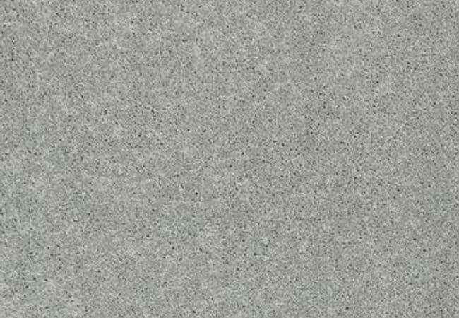 Anderson Tuftex Carpet Pawparazzi I Portland — Anderson Tuftex