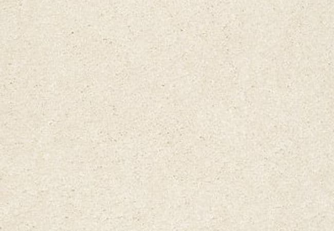 Anderson Tuftex Carpet Pawparazzi II Antiquity — Anderson Tuftex