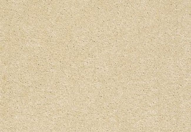 Anderson Tuftex Carpet Pawparazzi II Cork — Anderson Tuftex