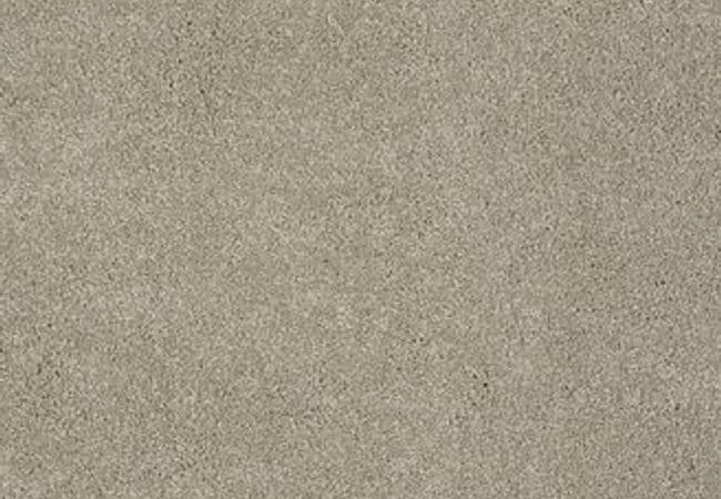 Anderson Tuftex Carpet Pawparazzi II Driftwood — Anderson Tuftex