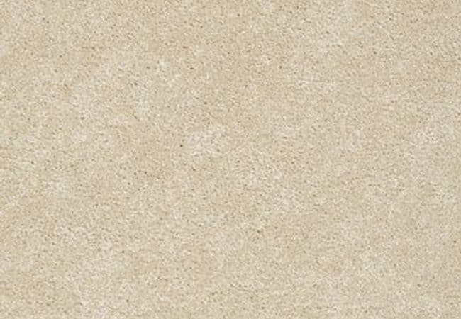 Anderson Tuftex Carpet Pawparazzi II Hazelnut — Anderson Tuftex
