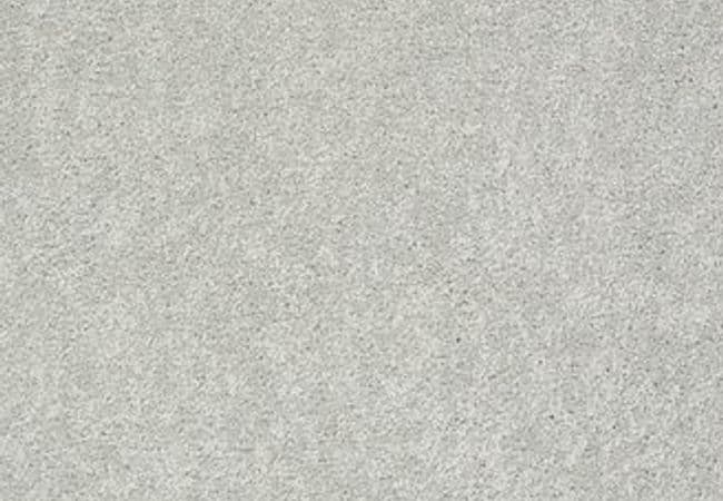 Anderson Tuftex Carpet Pawparazzi II Meditation — Anderson Tuftex