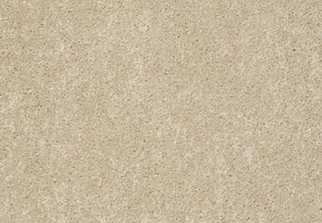Anderson Tuftex Carpet Pawparazzi II Monterey — Anderson Tuftex