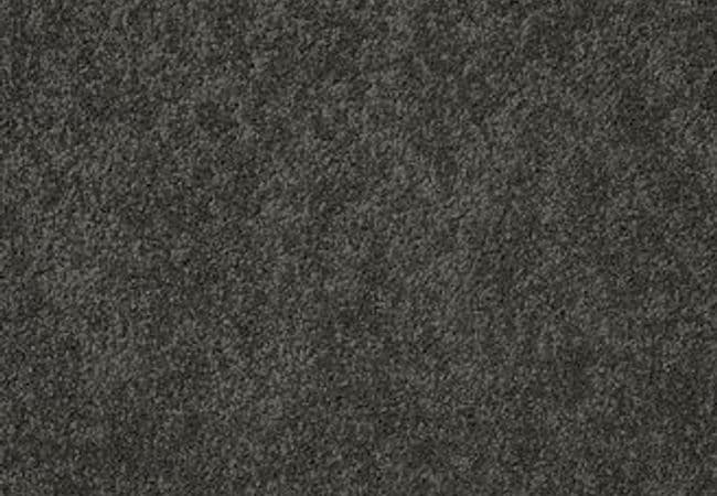 Anderson Tuftex Carpet Pawparazzi II Overcoat — Anderson Tuftex