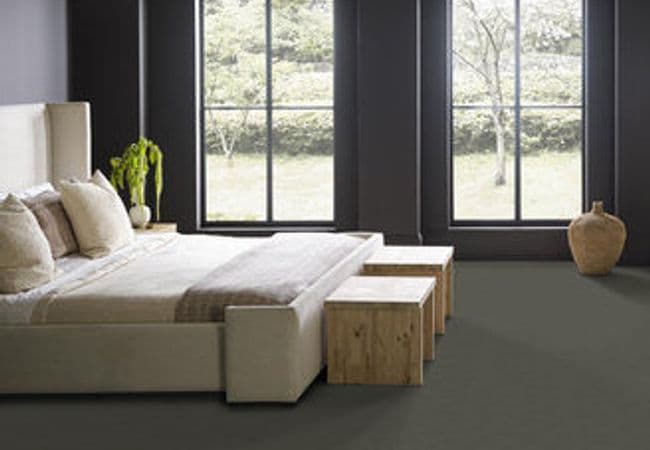 Anderson Tuftex Pawparazzi II flooring collection sample