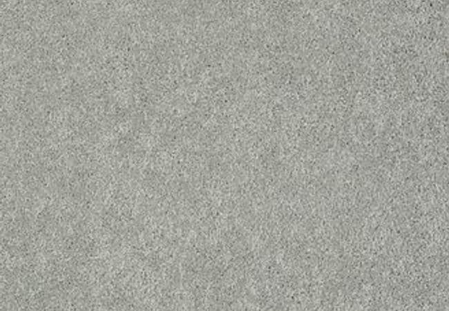 Anderson Tuftex Carpet Pawparazzi II Portland — Anderson Tuftex