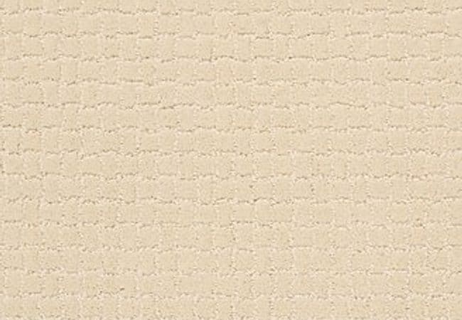 Anderson Tuftex Carpet Pawstruck Antiquity, Anderson Tuftex