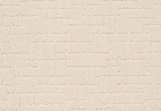 Anderson Tuftex Carpet Pawstruck Barely Beige — Anderson Tuftex
