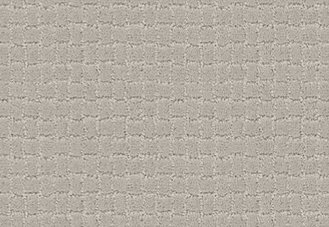 Anderson Tuftex Carpet Pawstruck Calm — Anderson Tuftex