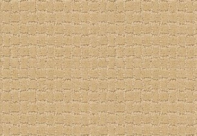 Anderson Tuftex Carpet Pawstruck Cork — Anderson Tuftex