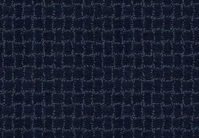 Anderson Tuftex Carpet Pawstruck Downpour — Anderson Tuftex