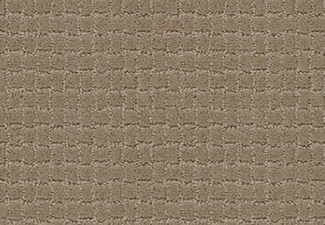 Anderson Tuftex Carpet Pawstruck Driftwood, Anderson Tuftex
