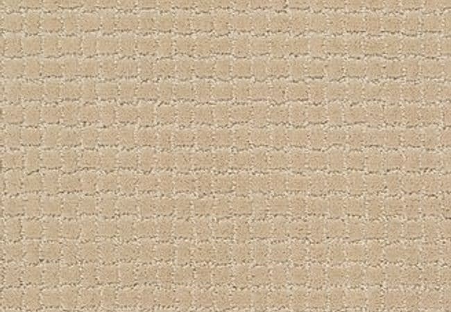 Anderson Tuftex Carpet Pawstruck Hazelnut — Anderson Tuftex