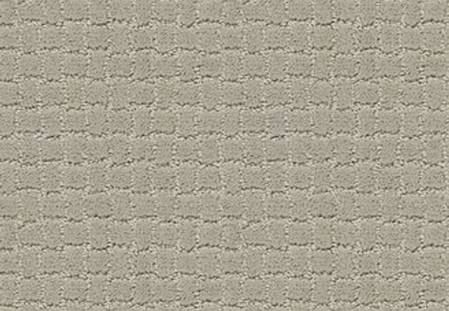 Anderson Tuftex Carpet Pawstruck Meditation — Anderson Tuftex